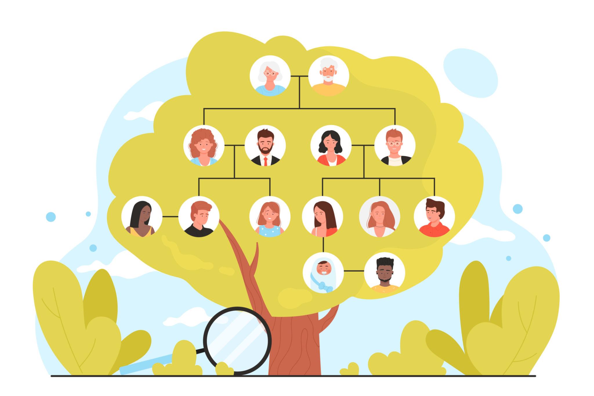 Family tree illustration showing connected family members
