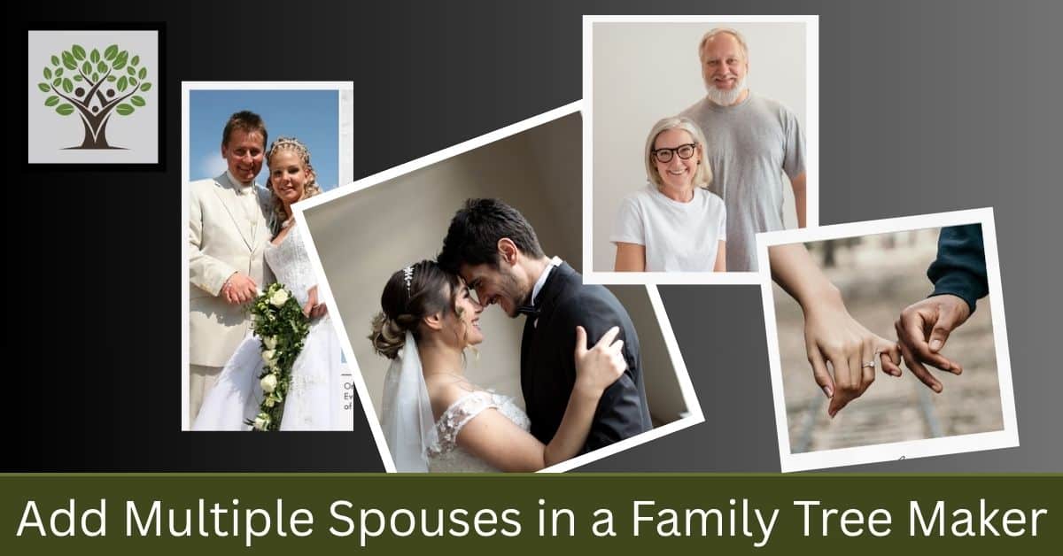 How to Add Additional Spouses to a Family Tree Maker?